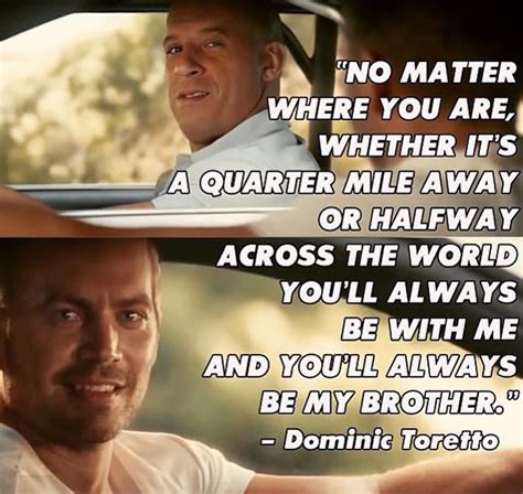 fast and the furious quotes|quick and furious sayings.